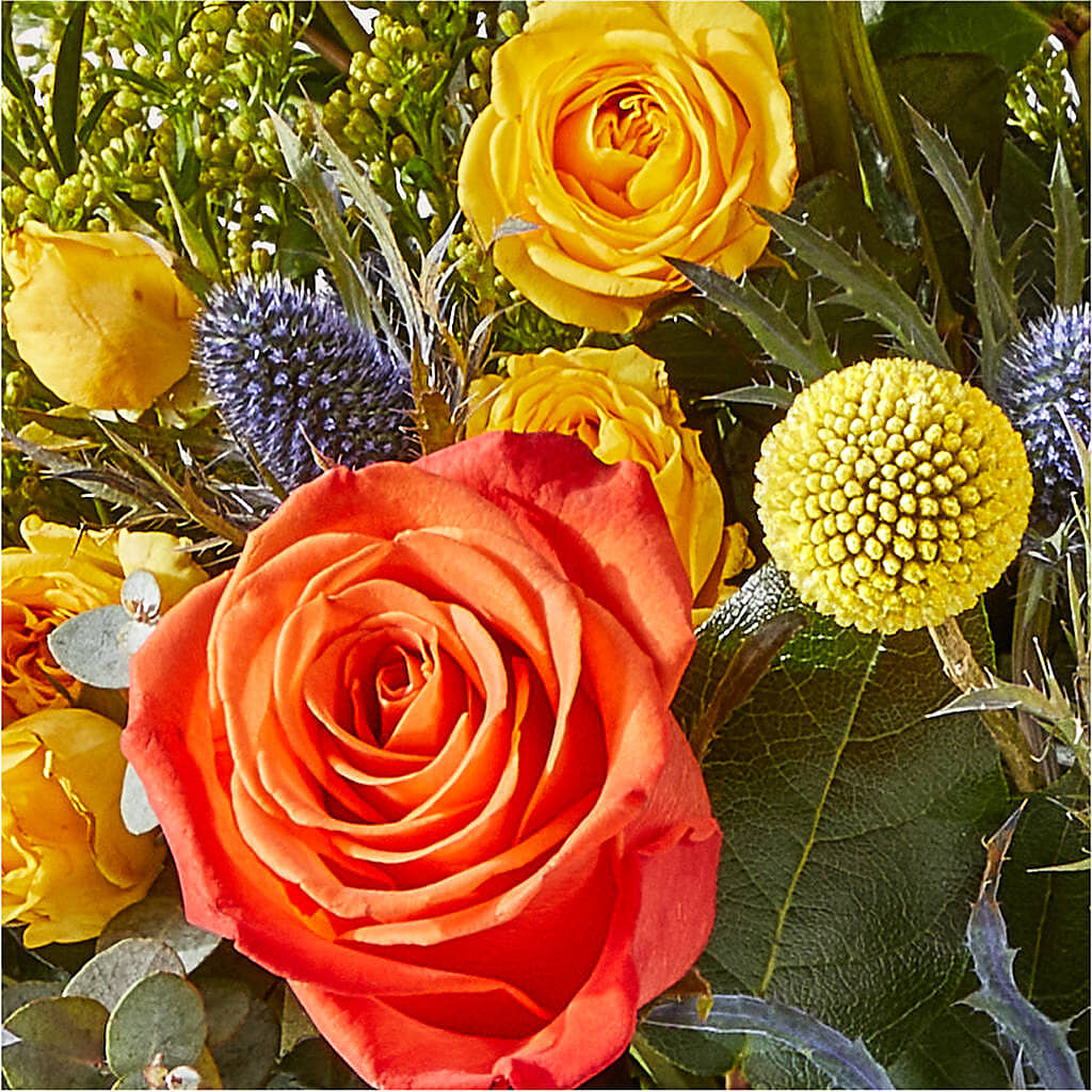 Disco Bouquet –  Albertsons Floral #0199, Boise ID