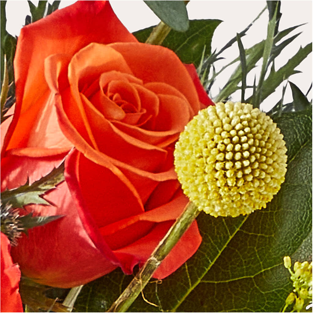 Disco Bouquet –  Albertsons Floral #0199, Boise ID