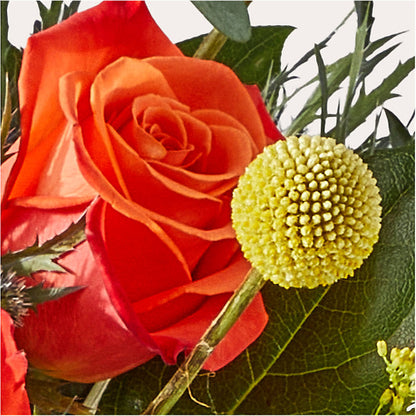 Disco Bouquet –  Albertsons Floral #0199, Boise ID