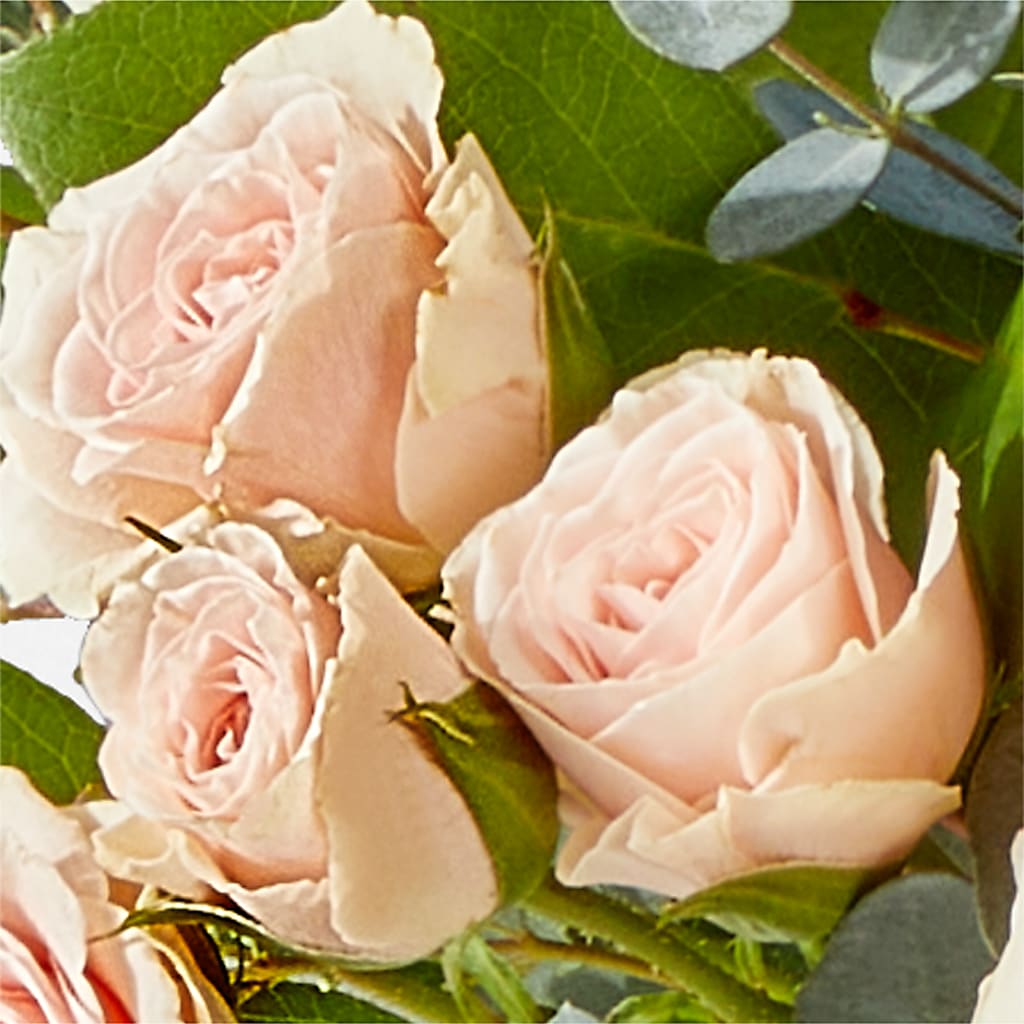 Inspired Bouquet –  Albertsons Floral #0199, Boise ID