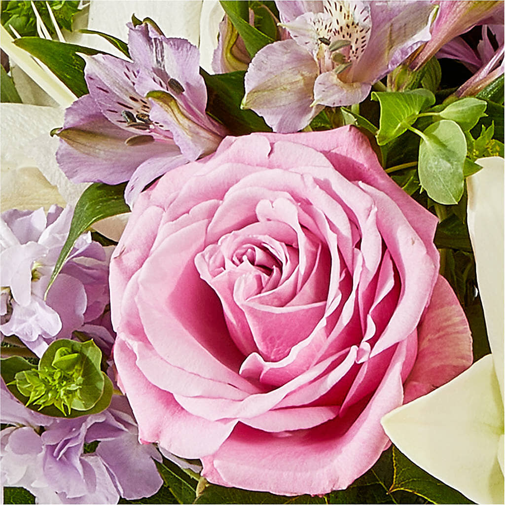 Daydreamer Bouquet –  Albertsons Floral #0199, Boise ID