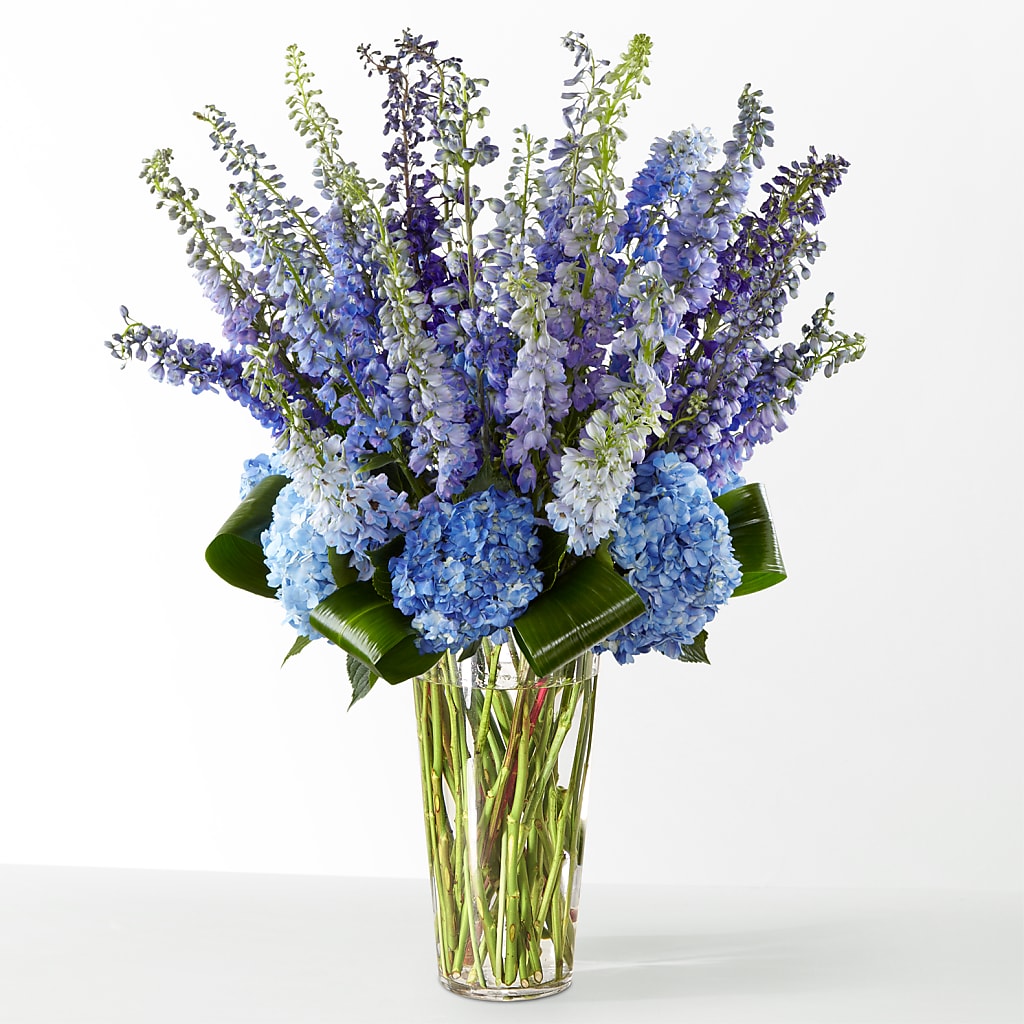 The Editorial –  Albertsons Floral #0199, Boise ID