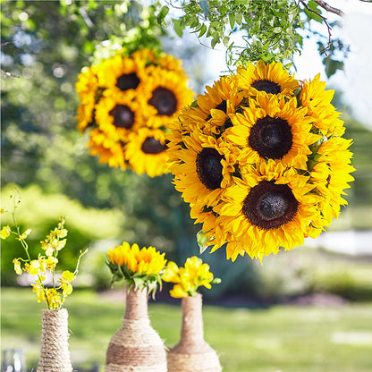 Sublime Garden Hanging Arrangement –  Albertsons Floral #0199, Boise ID