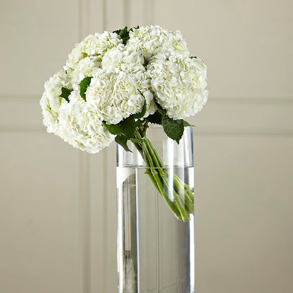 White Hydrangea Hand-Tied Bouquet –  Albertsons Floral #0199, Boise ID