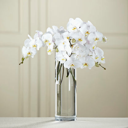 White Phalaenopsis Bouquet –  Albertsons Floral #0199, Boise ID