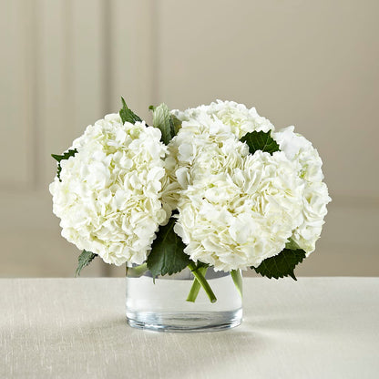White Hydrangea Bouquet –  Albertsons Floral #0199, Boise ID